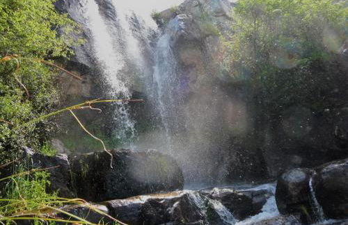 A Velha Casa - Foto 15