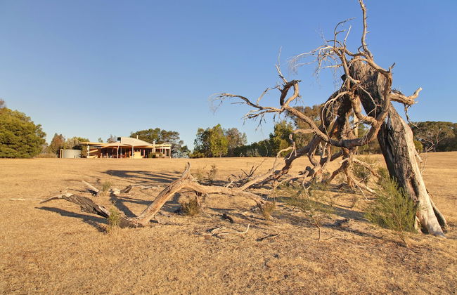 Boroka Downs - Photo 18