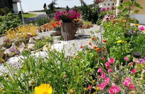 Ponyhof Adam Urlaub auf dem Bauernhof - Foto 53