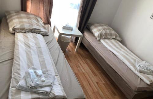 Sahara Falcon - Photo 128