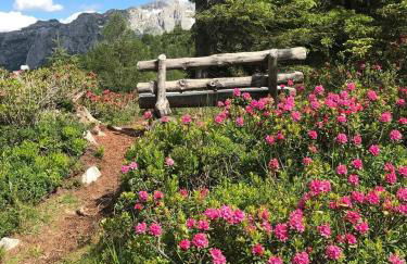 Residence Lores 2 - Go Vacanze - Foto 16