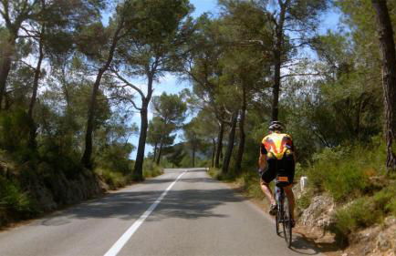 Apartamento Los Angeles by Mallorca Infinity - Foto 19