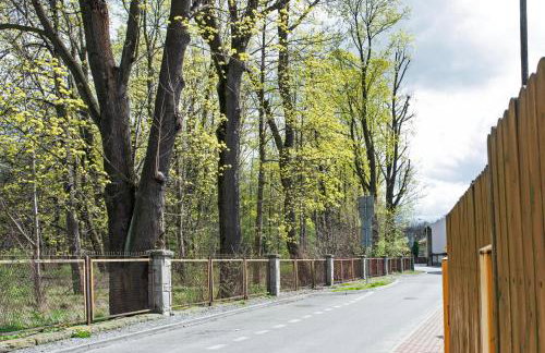 Apartament Węglowa 21 - Foto 33