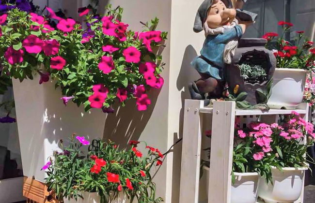 Jolie House - Foto 54