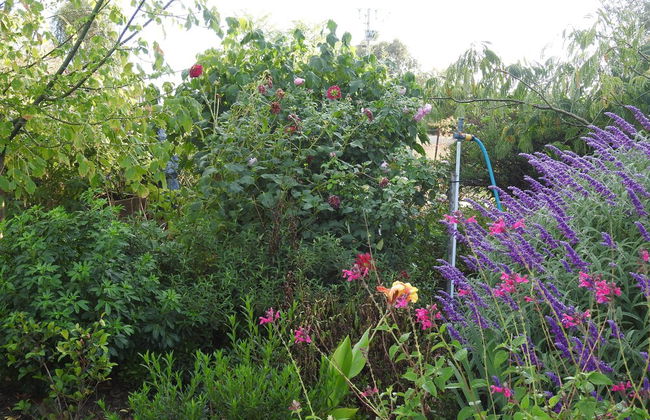 Barkly Suites Apartments - Foto 24