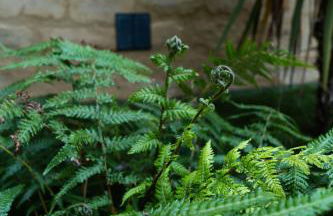 Suite troglodyte & spa privé - Luxe et détente - Photo 19