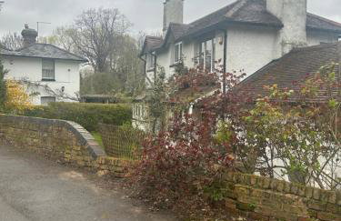 Stylish Home With Full Amenities - Photo 33