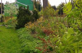 Grünes Ferienhaus - Foto 40