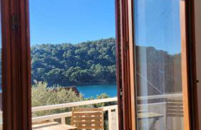 Apartmani Pjevalo-Mljet - Photo 33
