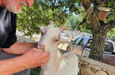 Stone House Rosuja - Foto 49