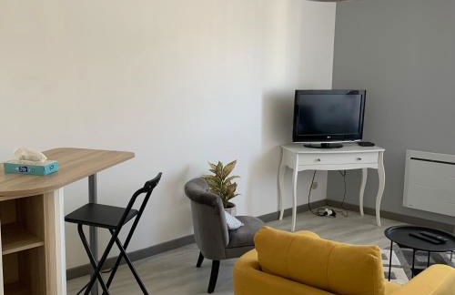 Appartement 4 PERSONNES EMPLACEMENT IDEAL PROCHE DES 24H ET GARE - Foto 31