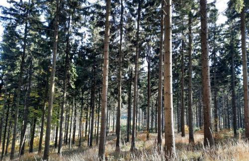 Domek Ostoja - Foto 56