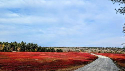 Back of the Moon Lakefront Camp family watersports fire pit 1 dog beach sleeps 8 - Foto 5