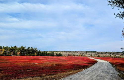 Back of the Moon Lakefront Camp family watersports fire pit 1 dog beach sleeps 8 - Foto 5