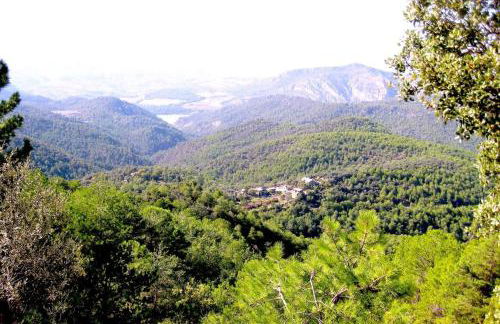 Casa Rural El Ensueño - Foto 22