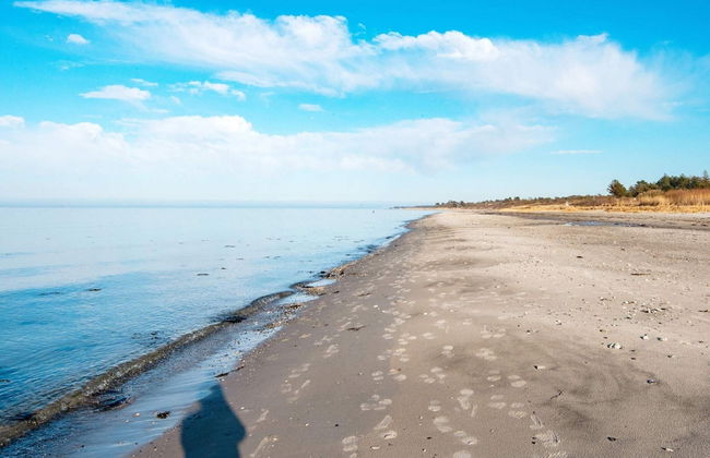 10 Person Holiday Home in Allingabro - Photo 33