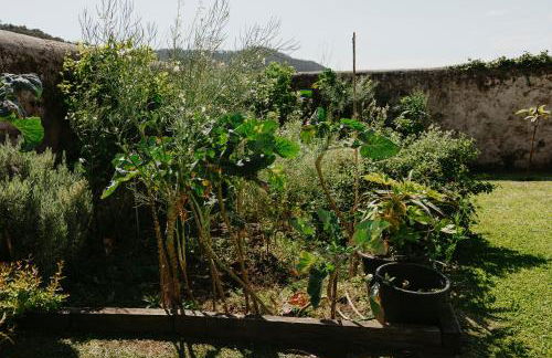 Casa do Sorrio - Slow Down, Live Now - Foto 39