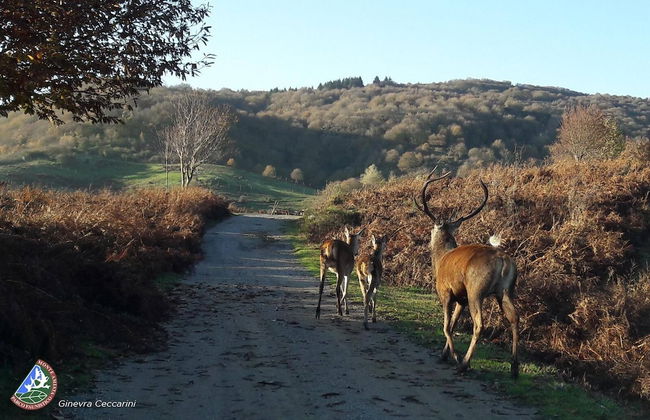 Agriturismo Bio 4 Stagioni - Photo 52