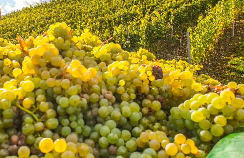 FeWo - LOFT Mosel & Weinquartier, Balkon, Parkplatz, moderne Küche, bis 8 Personen - Foto 33