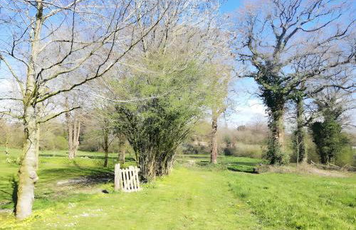 Gîte Essentiel - La Dauvinerie - Foto 6