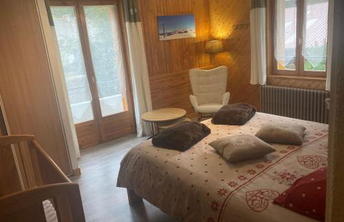 l'Echo des Glieres vue montagne centre village sauna & grill - Foto 12