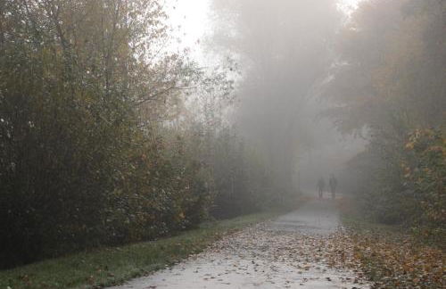 Ferienhaus "Gestiefelter Kater" am See im Bergland - Photo 37