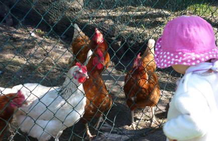 Ferienhof Wohler - Wohnung 5 - Foto 23