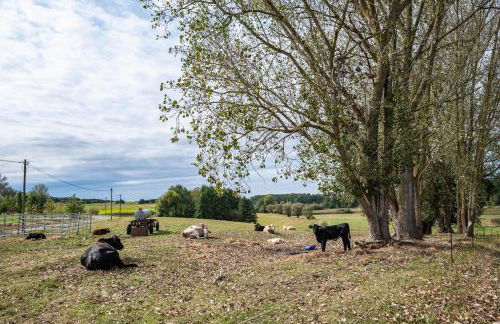 Moderner Bungalow, rollstuhlgerecht - Foto 26