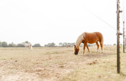 Reethaus 4B - Foto 39