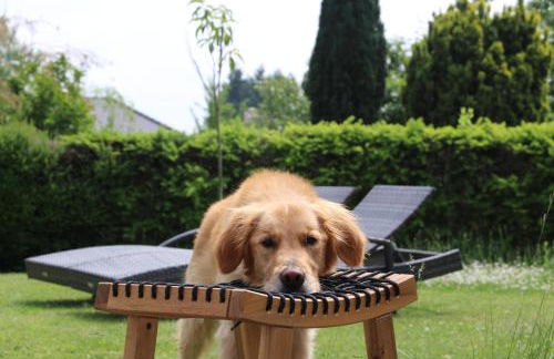 EifelBleibe, Ferienwohnungen - Foto 8