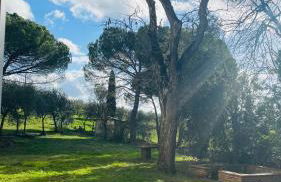 Corte di Valle Wine and Resort - Foto 28