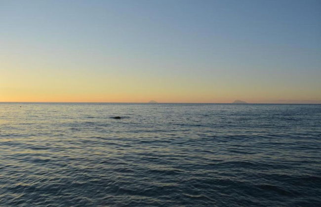 Cozy Apartment in Torrenova - Foto 15