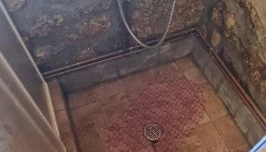 Dimitris-Vella - Foto 3