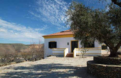 Quinta da Côrte - Foto 16