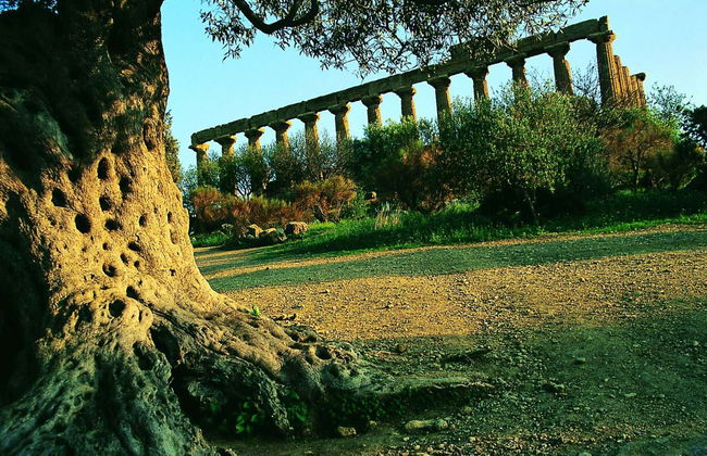 Valley of the Temples + Roman Villa of Casale Day Trip - Foto 7