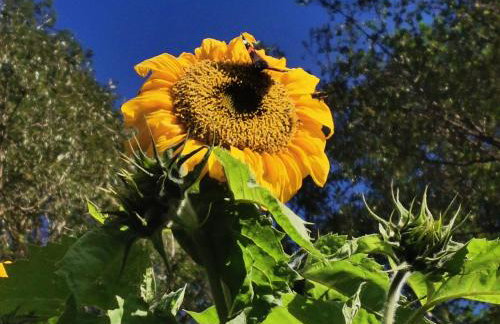 Przystan Ramotowo - Foto 5