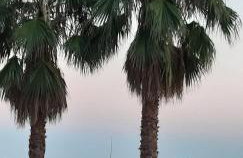 Captain's villa - Photo 54