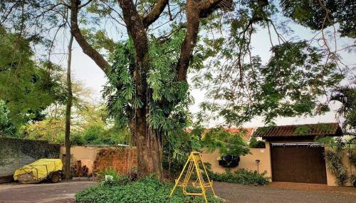 Bem-estar e boa localização (Apto Paraíso) - Foto 2