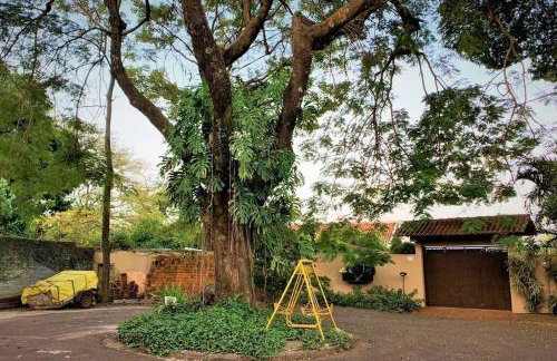 Bem-estar e boa localização (Apto Paraíso) - Foto 2