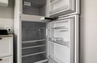 Ap Expo SP e Zoológico - Foto 4