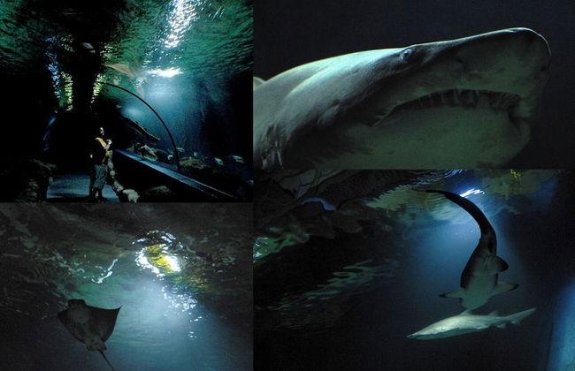 Apartamentos Tao - Foto 55