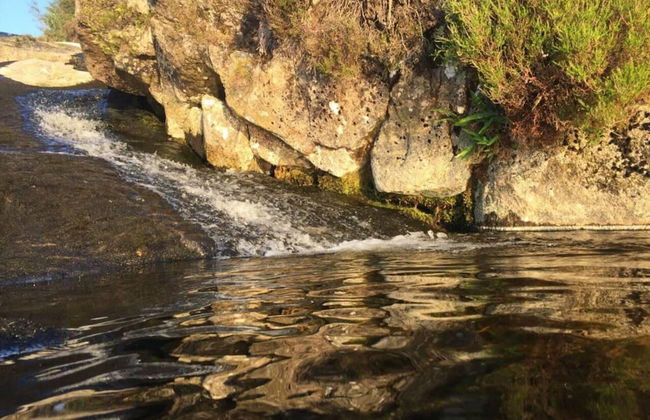 1 Bed Cabin in the Magical Galloway Forest Park - Photo 19