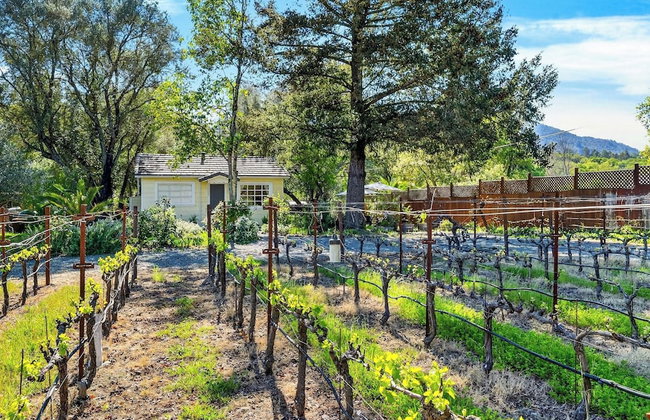 Grapevine Cottage by Avantstay Private Vineyard + Outdoor/indoor Living + Firepit + Minutes to Glen Ellen - Foto 34
