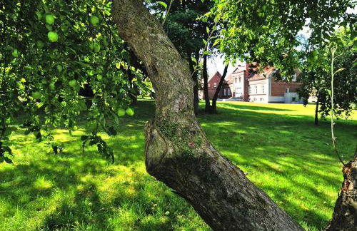 Gutshaus Zicker in Garz - Foto 12