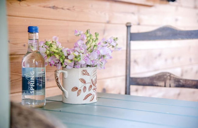Abbey Shepherds Hut, Eye - Foto 14
