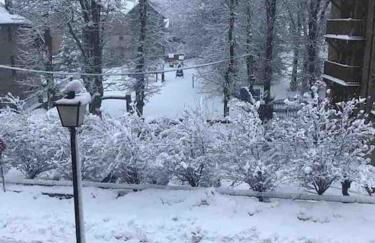 Coqueto y céntrico en Panticosa - Photo 22