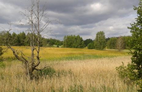 Pod tulipanem nad jeziorem - Foto 36