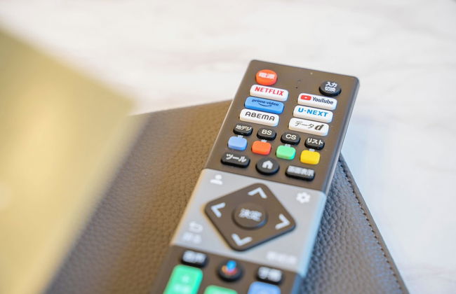 BELLE NEIGE 901 - Foto 52