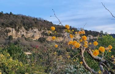 Charming house in Provence, 2 to 10 people - Foto 14