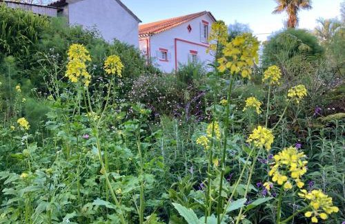 Casa-Stella-Azores - Foto 16